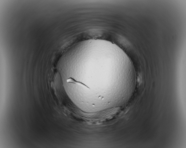 X0000086300867200704201940