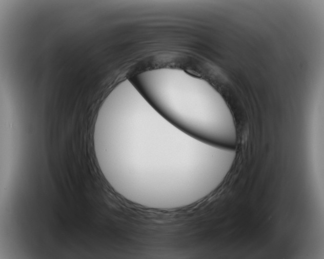 X0000086300868200704201940