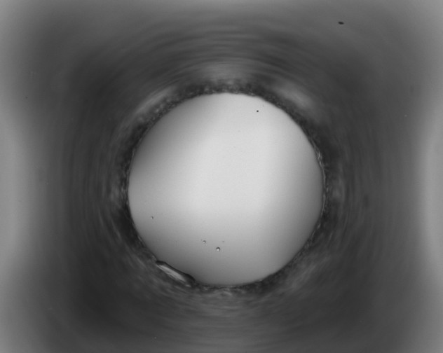 X0000086300869200704201940