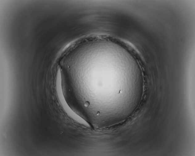 X0000086300871200704201940