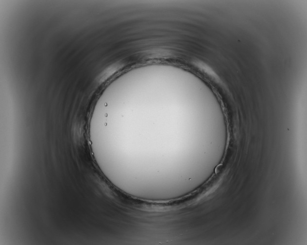 X0000086300873200704201940