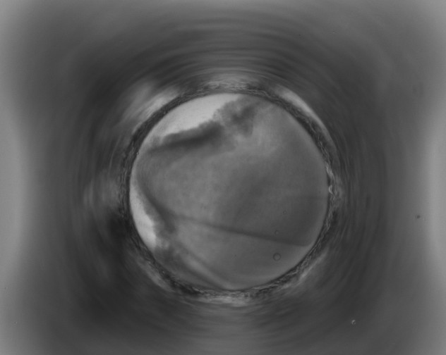 X0000086300874200704201940