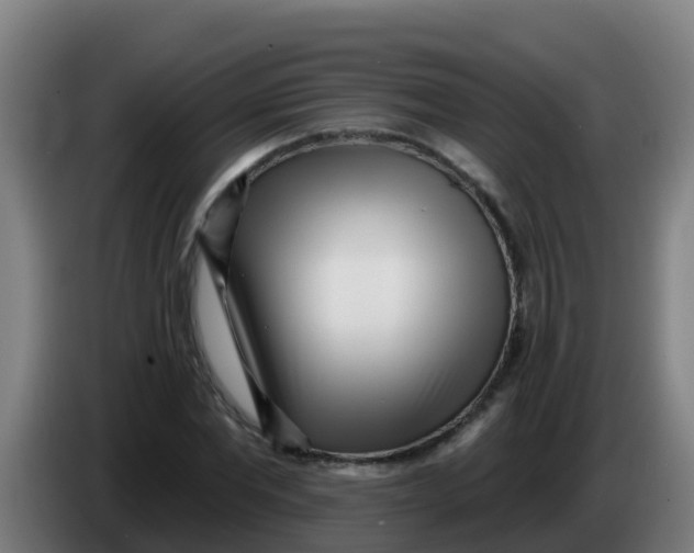 X0000086300877200704201940