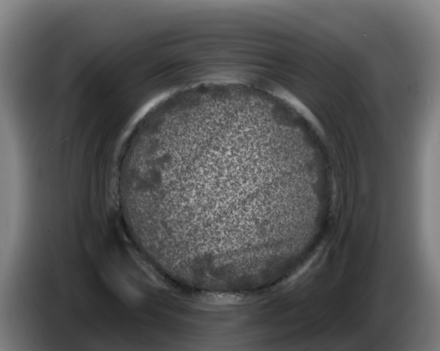 X0000086300878200704201940