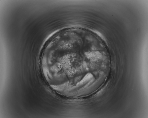 X0000086300879200704201940