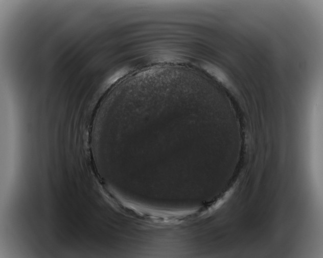 X0000086300881200704201940