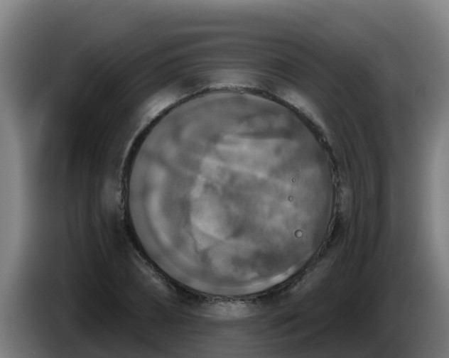 X0000086300882200704201940