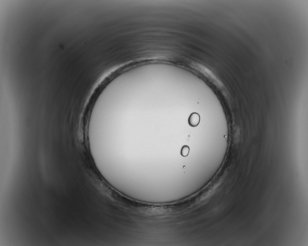 X0000086300883200704201940