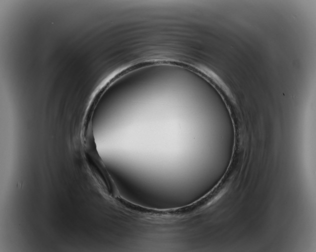 X0000086300885200704201940