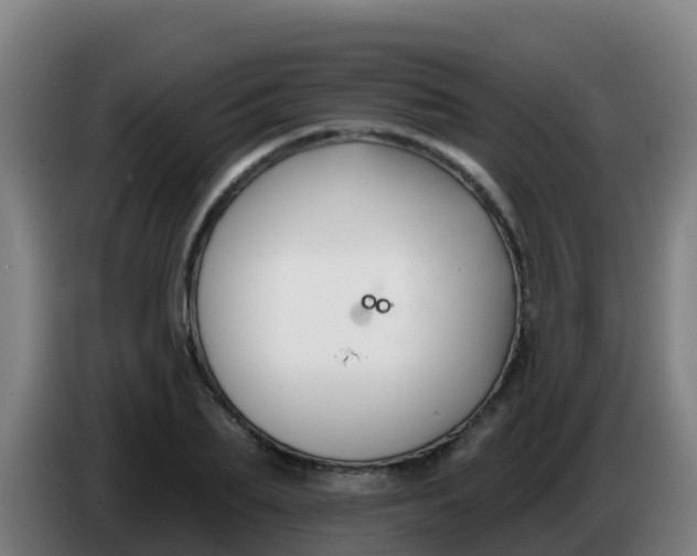 X0000086300887200704201940