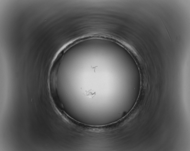 X0000086300888200704201940