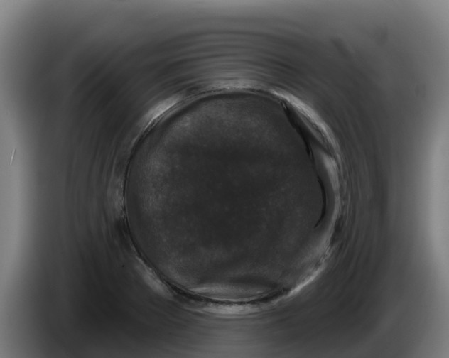 X0000086300889200704201940