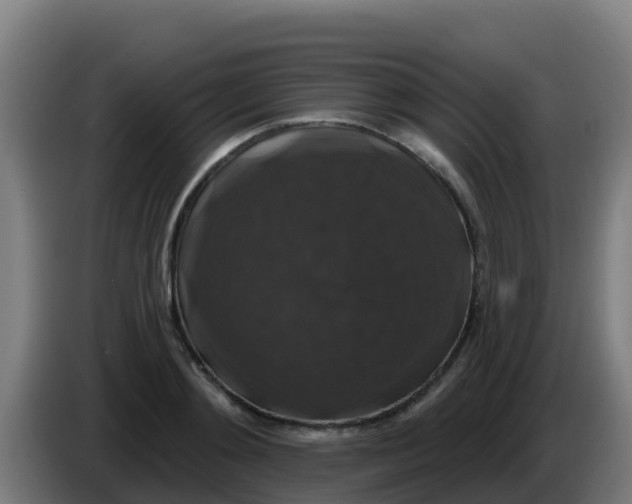 X0000086300892200704201940