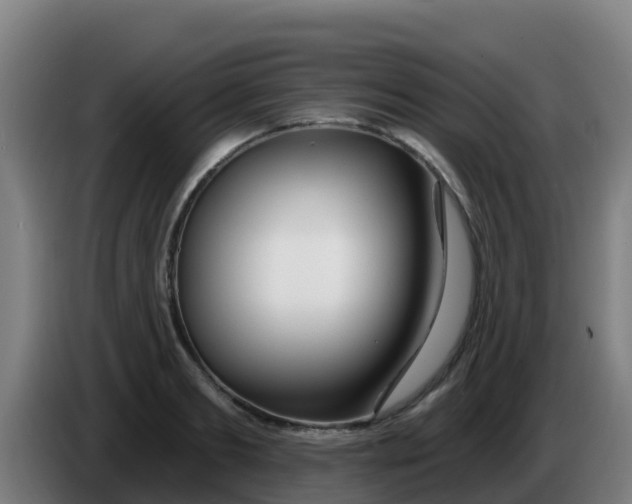 X0000086300893200704201940