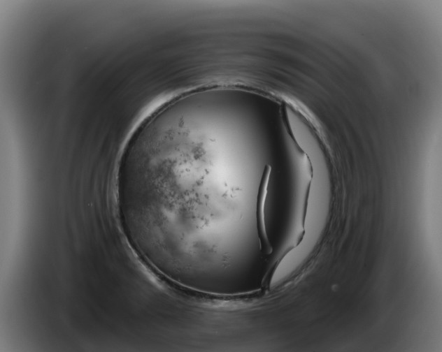 X0000086300894200704201940