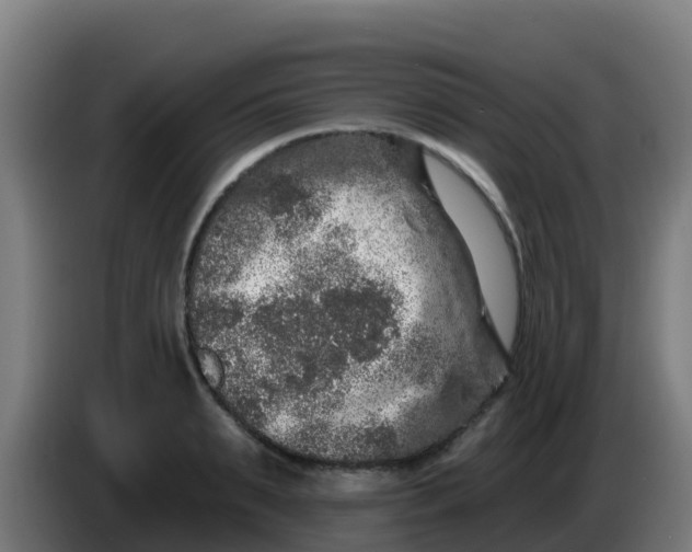 X0000086300895200704201940