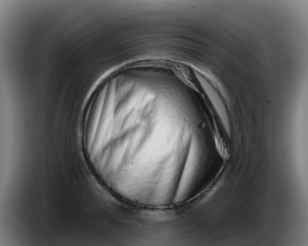 X0000086300896200704201940