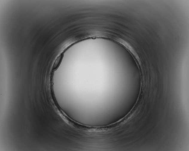 X0000086300898200704201940