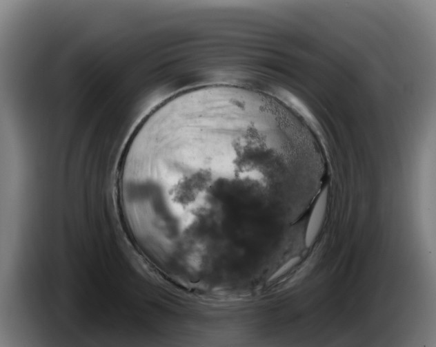 X0000086300899200704201940