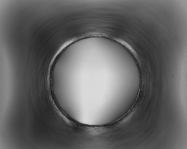 X0000086300902200704201940