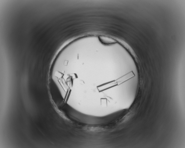 X0000086300903200704201940