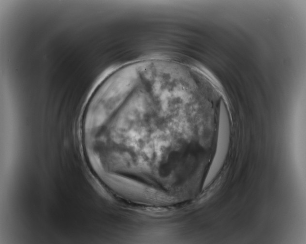 X0000086300907200704201940