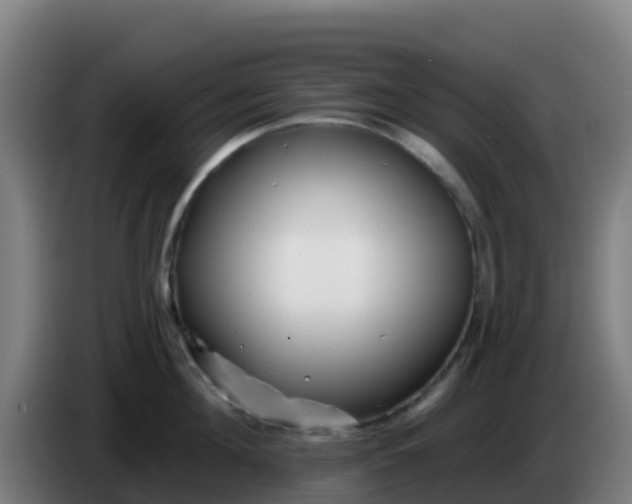 X0000086300908200704201940