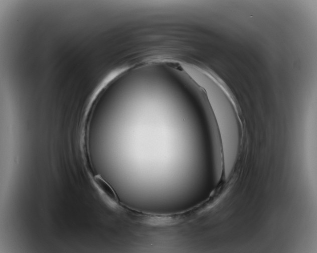 X0000086300909200704201940