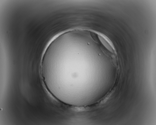 X0000086300911200704201940