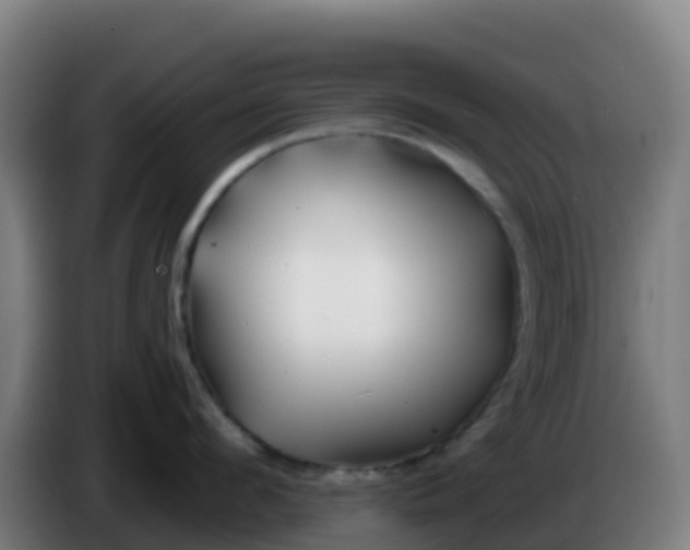 X0000086300912200704201940