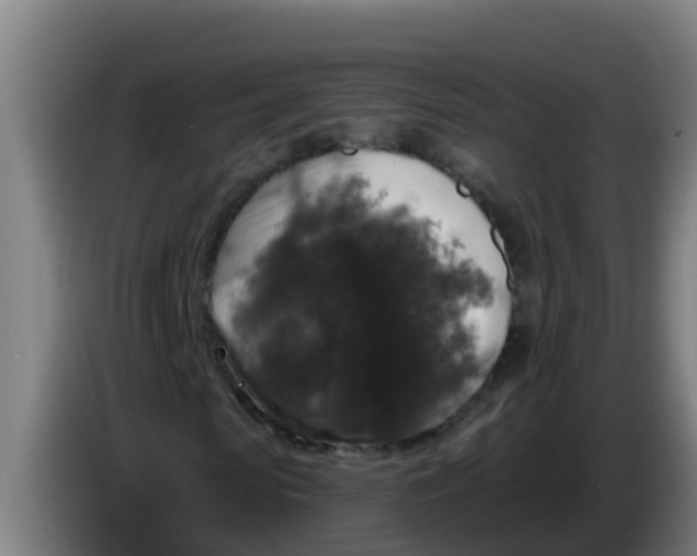 X0000086300913200704201939