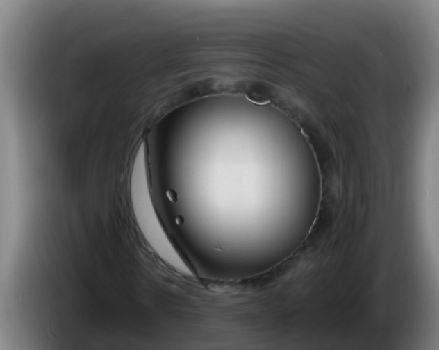 X0000086300914200704201939