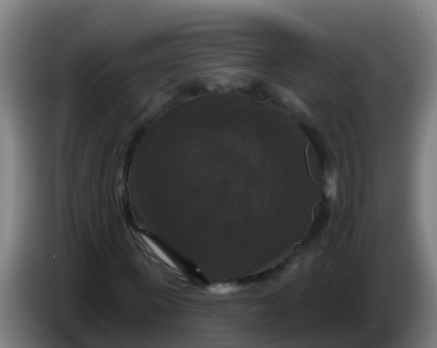 X0000086300915200704201939