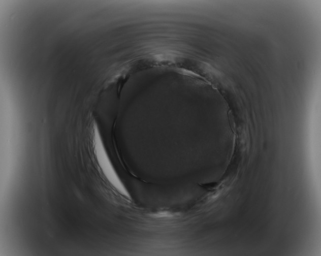 X0000086300916200704201939