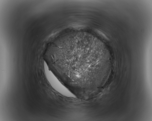 X0000086300917200704201939