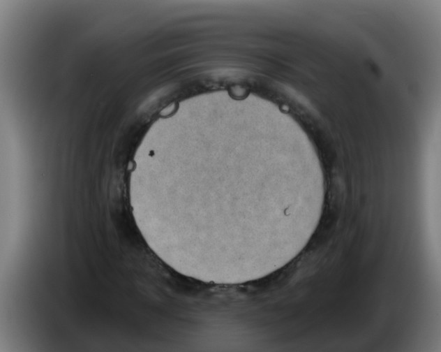 X0000086300918200704201939