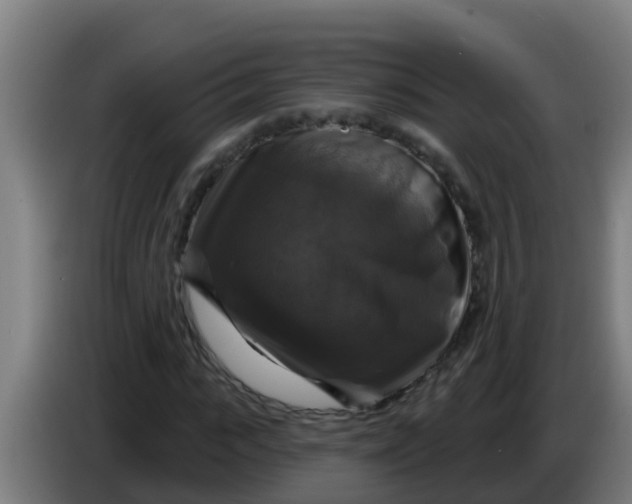 X0000086300919200704201939