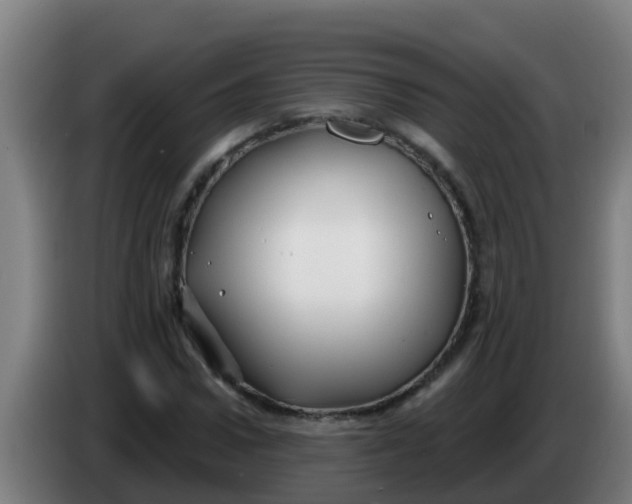 X0000086300922200704201939