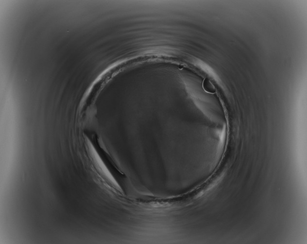 X0000086300923200704201939