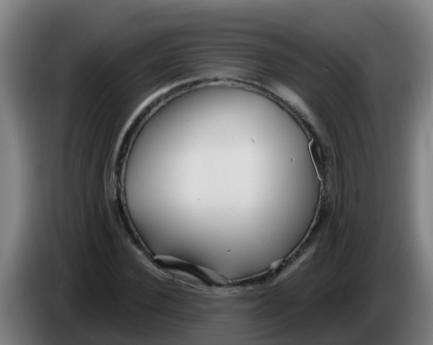 X0000086300924200704201939