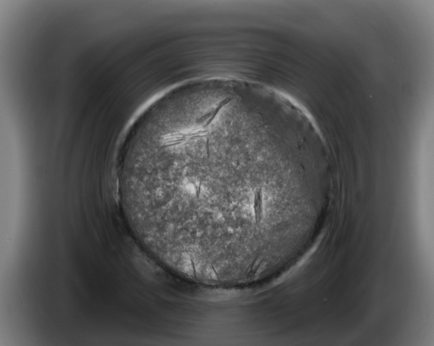 X0000086300925200704201939