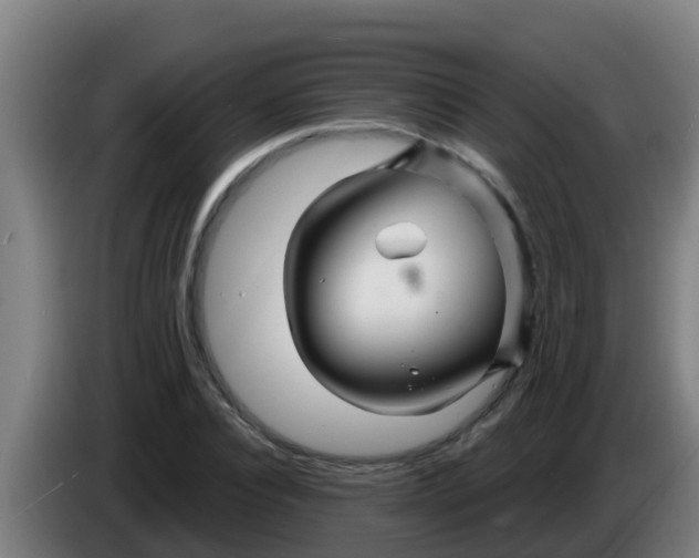 X0000086300928200704201939