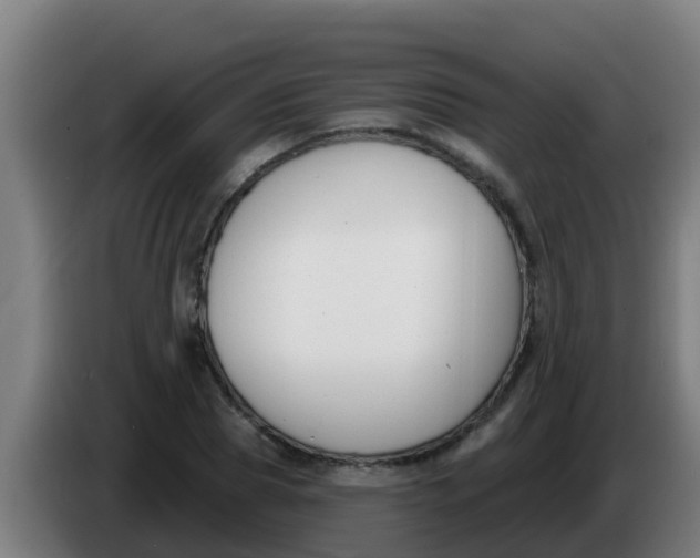 X0000086300929200704201939