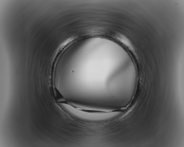 X0000086300930200704201939