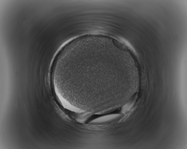 X0000086300932200704201939