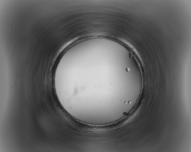 X0000086300933200704201939