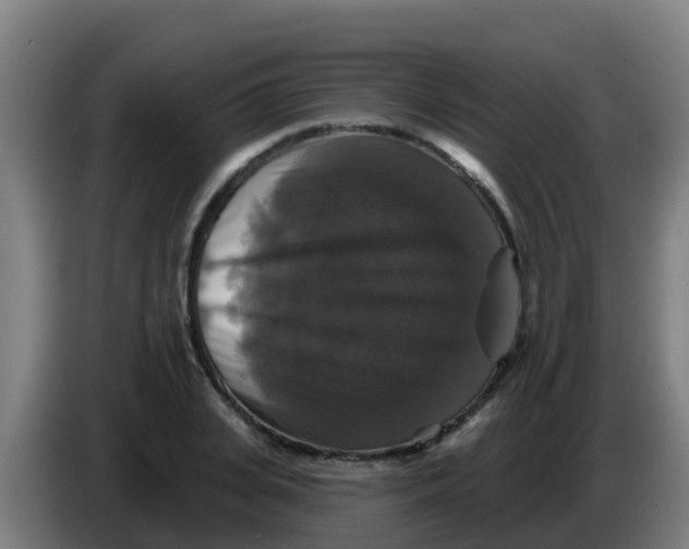 X0000086300935200704201939