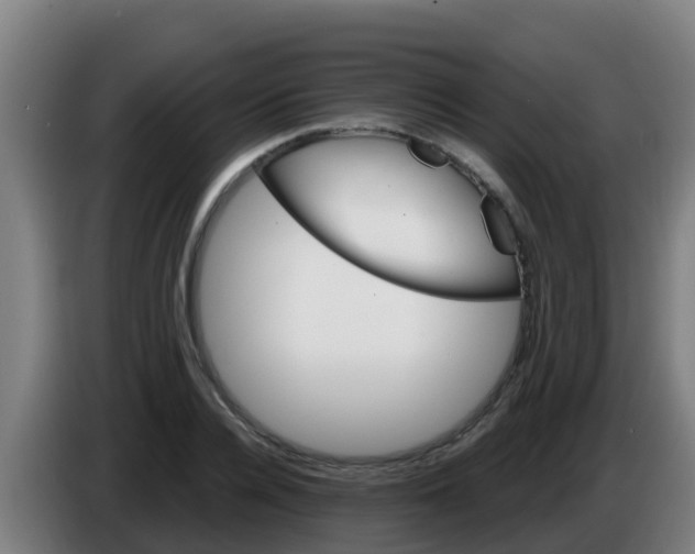 X0000086300936200704201940