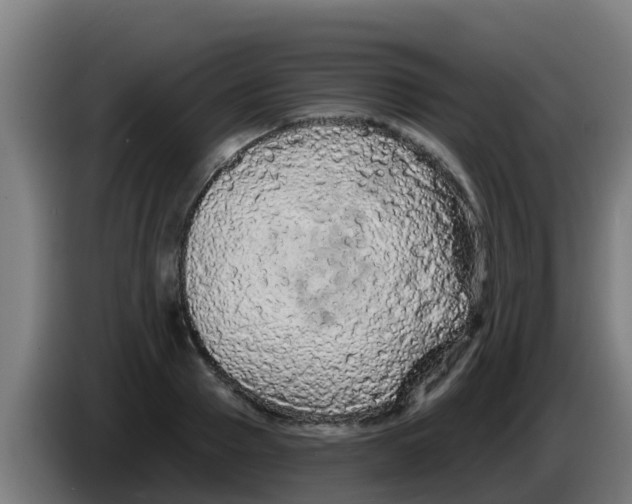 X0000086300937200704201940