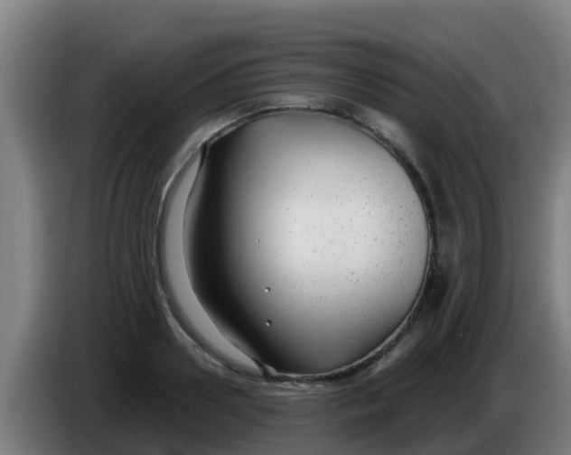 X0000086300938200704201940